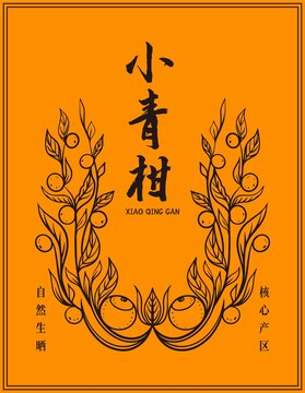 小青柑包裝插畫