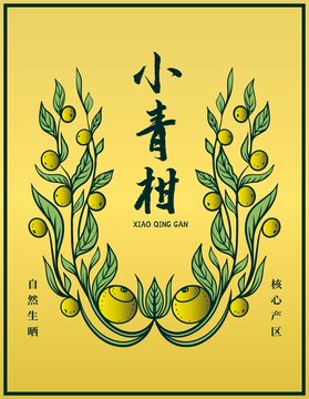 小青柑插畫