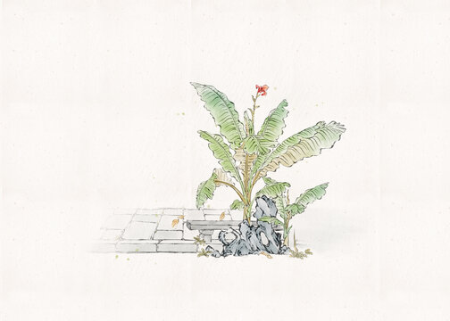 原創(chuàng)手繪國(guó)風(fēng)水墨場(chǎng)景芭蕉葉