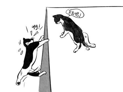 打架的貓