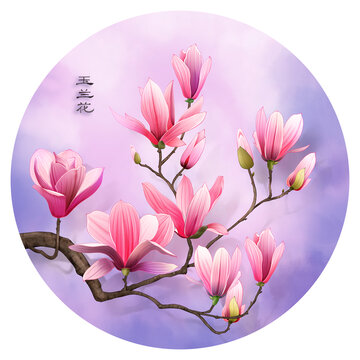 玉蘭花