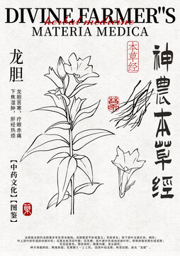 龍膽線稿中藥材水彩設計模版