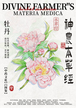牡丹中藥材水彩設計模版