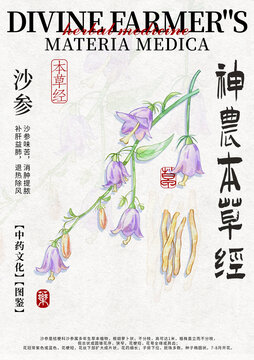 沙參中藥材水彩設計模版