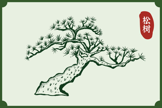 松樹插畫