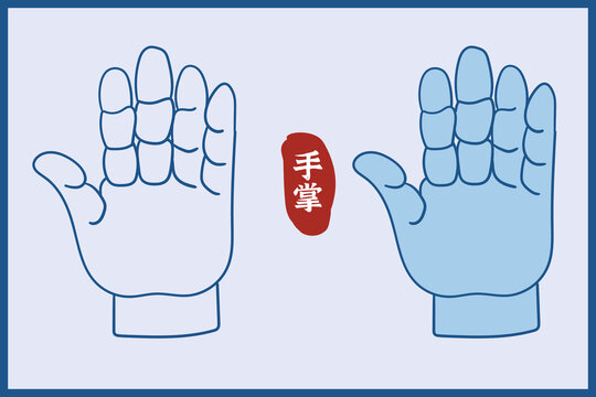 手掌