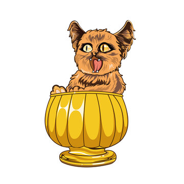 插畫美式黑暗風(fēng)小貓