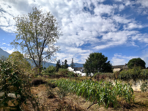 皖南風光山村美景