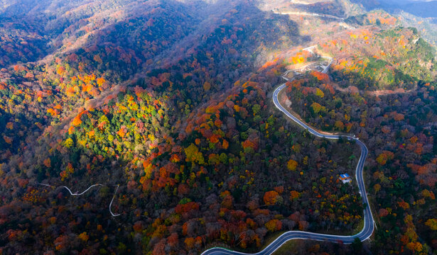 四川省廣元旺蒼光頭山紅葉彩林