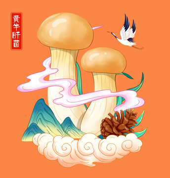 黃牛肝菌插畫手繪