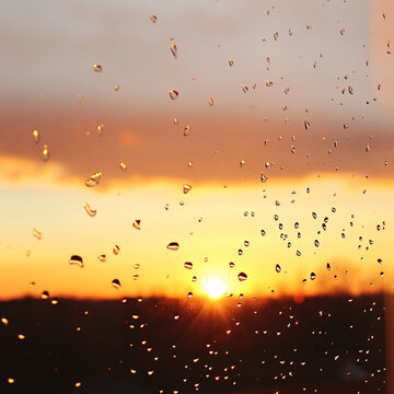 夕陽(yáng)早晨水珠