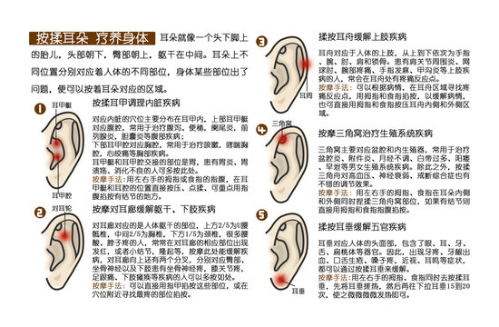 中醫(yī)養(yǎng)生耳朵