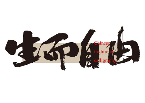 生而自由
