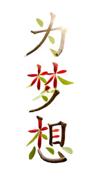 為夢想