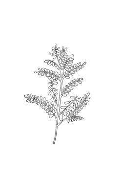 黃芪