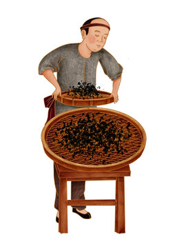篩茶