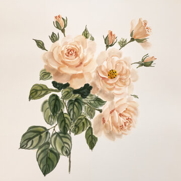 優(yōu)雅水彩花卉畫卷