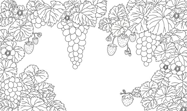 花果圖矢量插畫線稿插畫