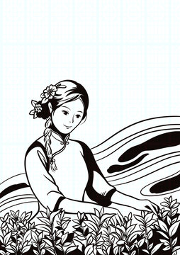 采茶女
