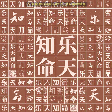 樂天知命
