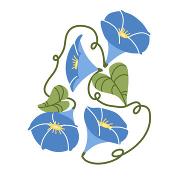 喇叭花印花