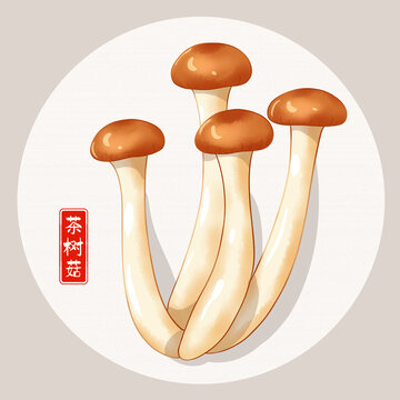 茶樹(shù)菇插畫(huà)
