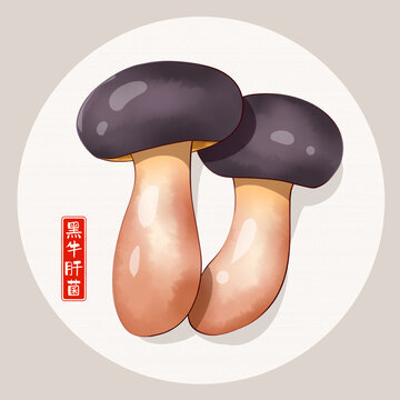 黑牛肝菌插畫