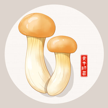 黃牛肝菌插畫