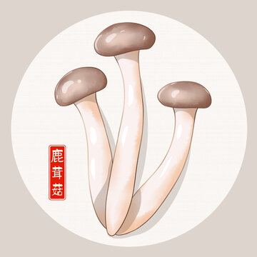 鹿茸菇插畫