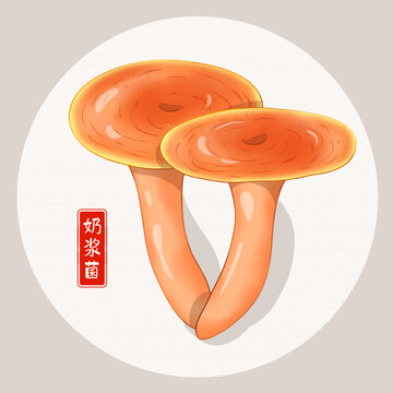 奶漿菌插畫