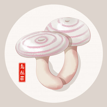 烏叢菌插畫