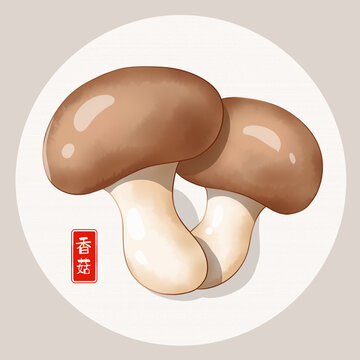 香菇插畫