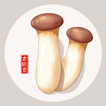 杏鮑菇插畫
