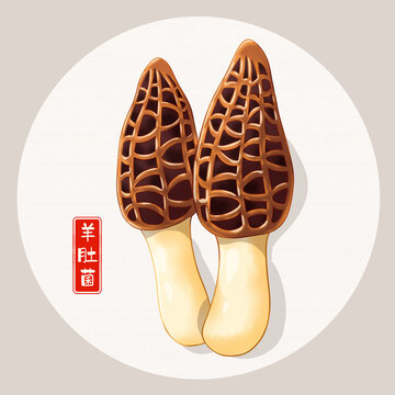 羊肚菌插畫