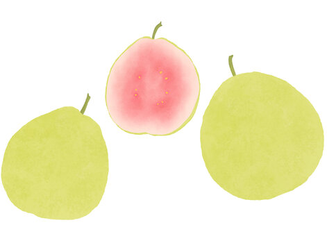 芭樂(lè)插畫(huà)