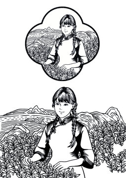 采茶女