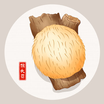 猴頭菇插畫