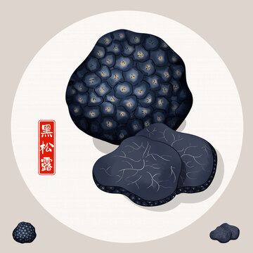 黑松露插畫