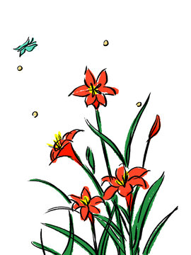 水仙花