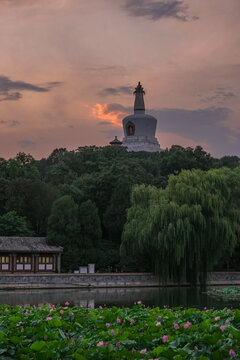 北海公園夏日傍晚