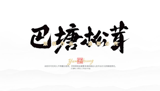 巴塘松茸