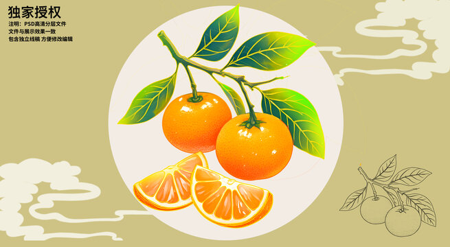 砂糖橘插畫