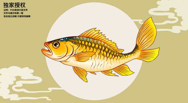 黃花魚插畫