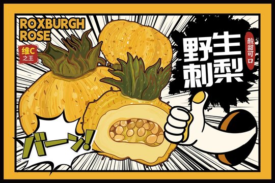 刺梨包裝插畫