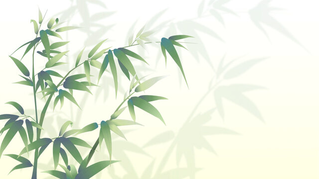 植物葉子竹葉竹枝漸變背景