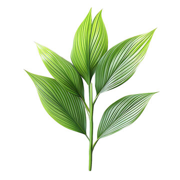 [免摳素材]綠色熱帶植物葉子的設(shè)計圖