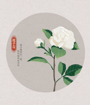 梔子花國潮國風水彩插畫