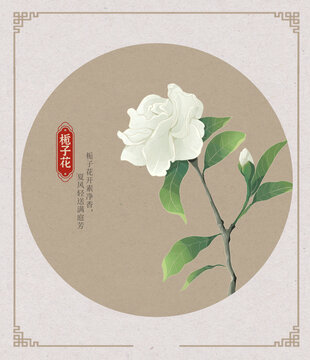 梔子花國潮國風水彩插畫