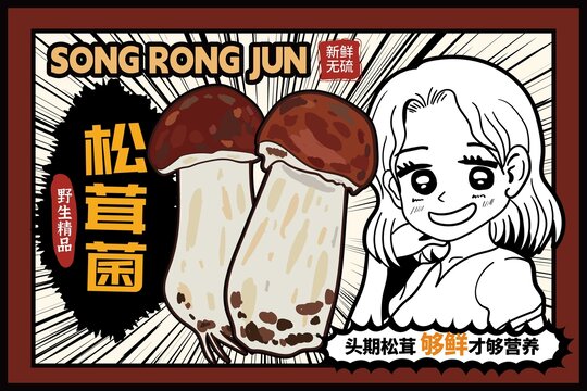 松茸菌包裝插畫