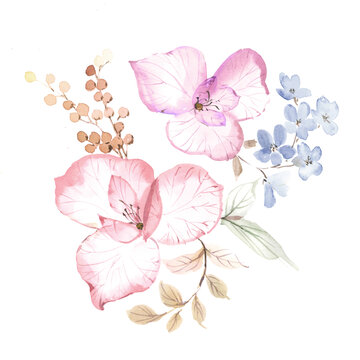 水彩花卉